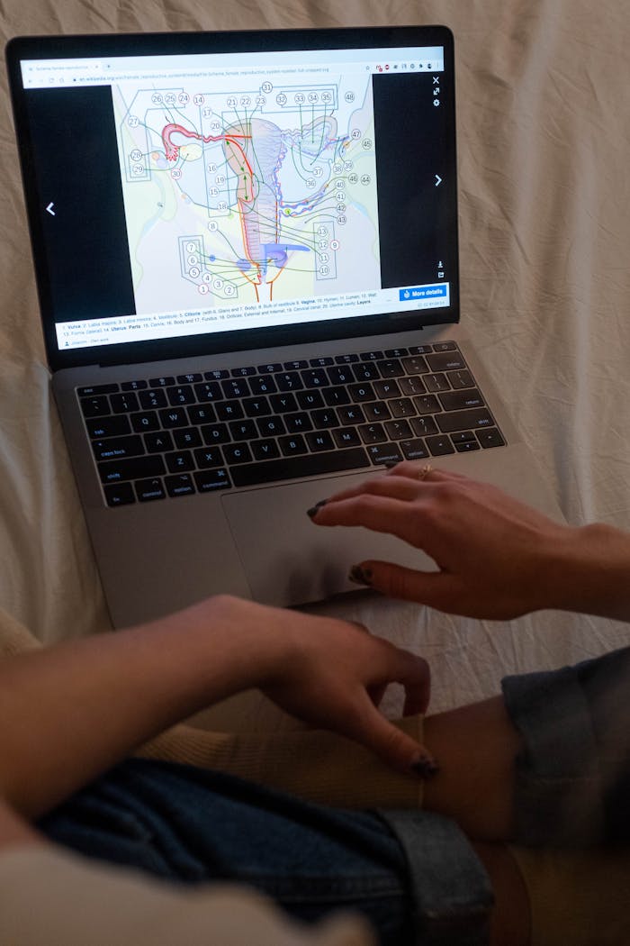 A woman studying an anatomical diagram on a laptop indoors