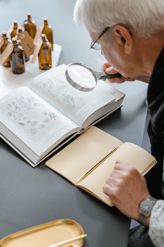 Elderly person reading botanical book with magnifying glass, enhancing research focus.